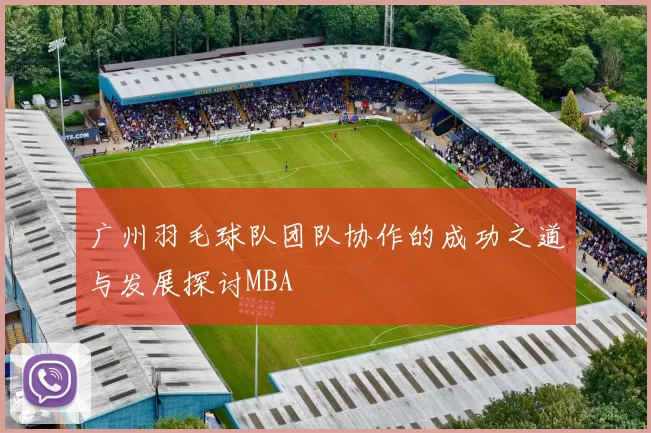 广州羽毛球队团队协作的成功之道与发展探讨MBA
