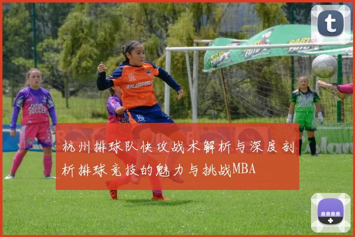 杭州排球队快攻战术解析与深度剖析排球竞技的魅力与挑战MBA