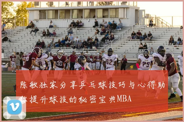 陈敏独家分享乒乓球技巧与心得助你提升球技的秘密宝典MBA